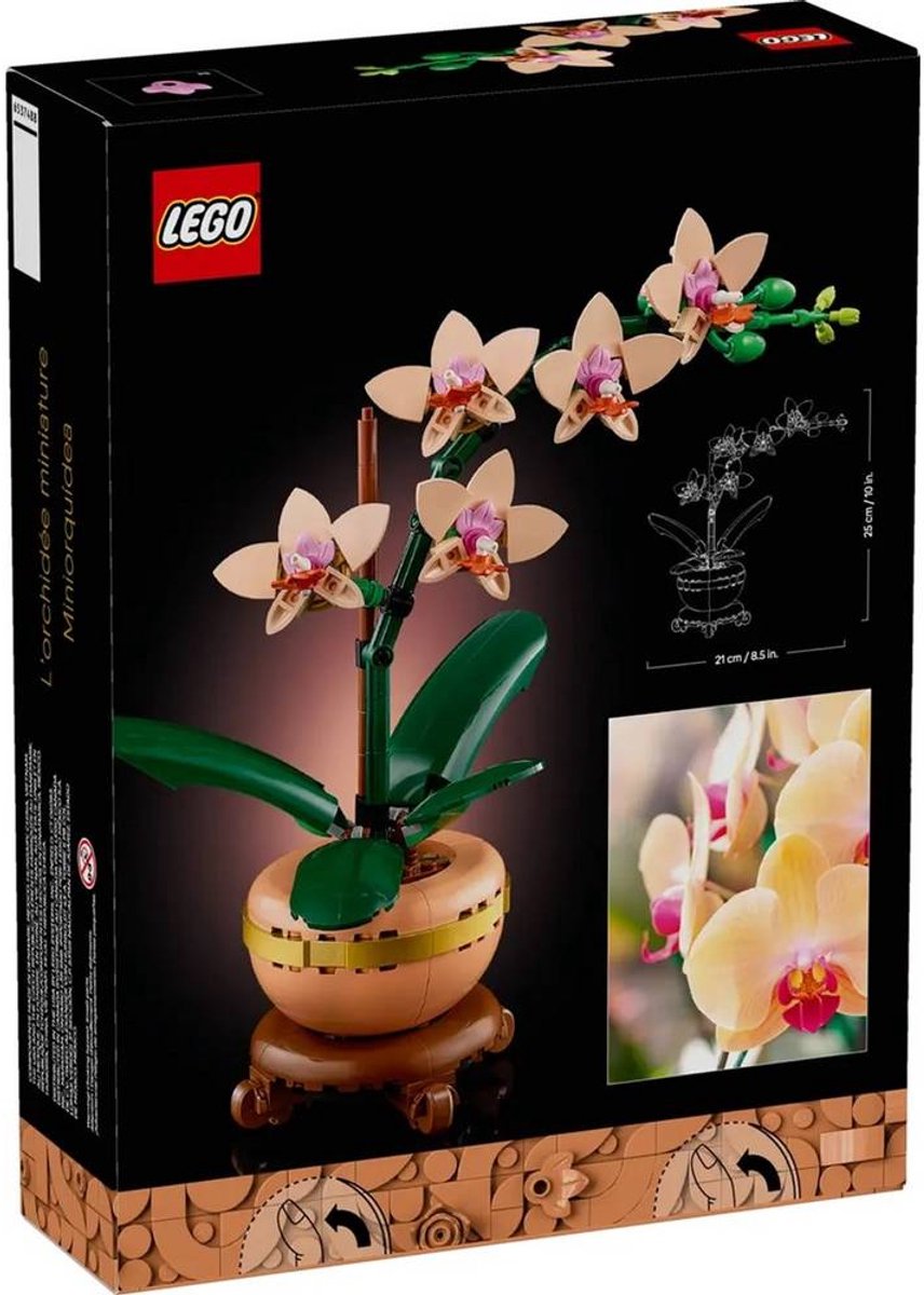 LEGO 10343 Botanicals Mini Orchid